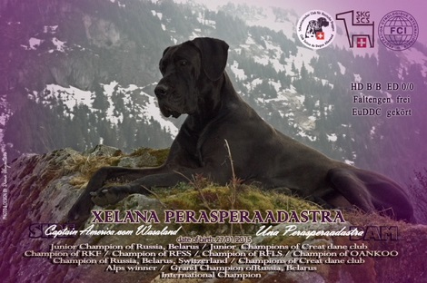 XKhalessi Perasperaadastra